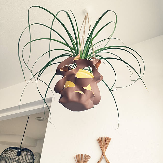 pinponmamさんの実例写真