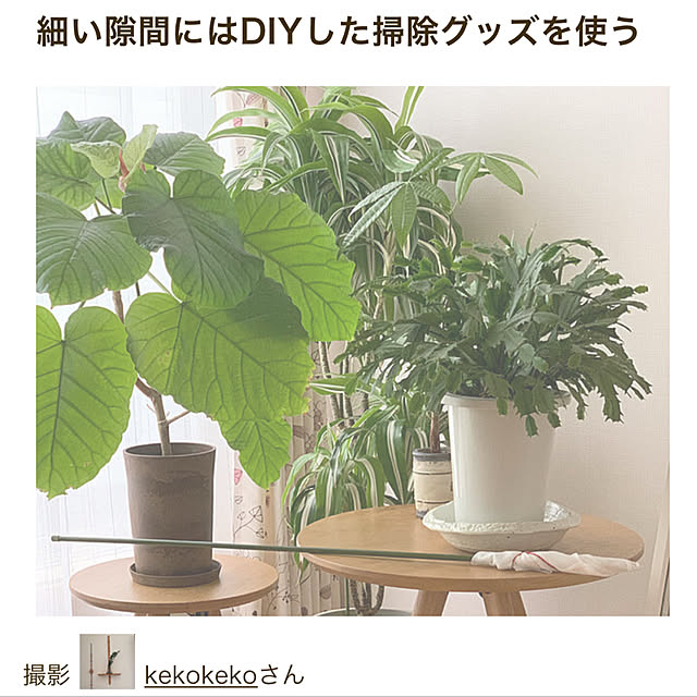 kekokekoさんの実例写真