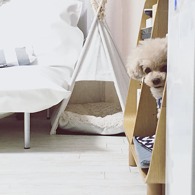 pocoさんの実例写真