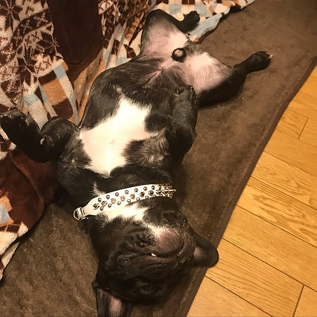 1000gaさんの実例写真