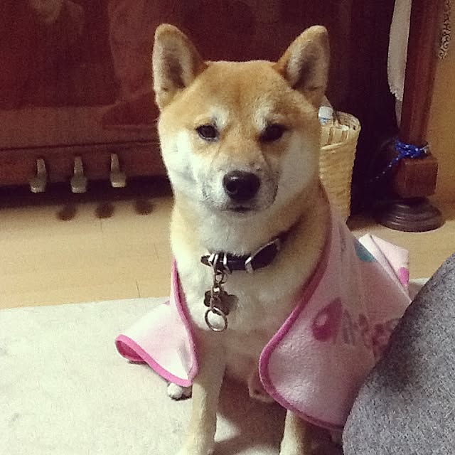 kotaさんの実例写真