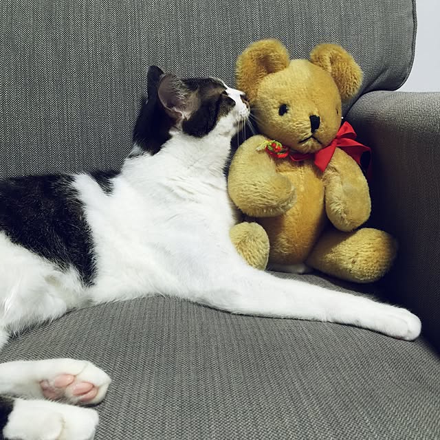 yuchiさんの実例写真