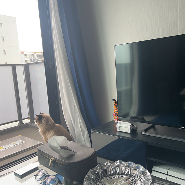 eriさんの実例写真