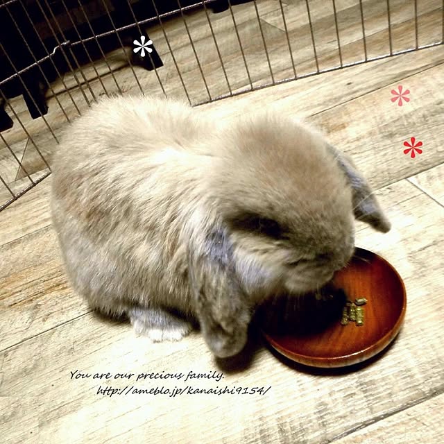 wa-ga-yaさんの実例写真