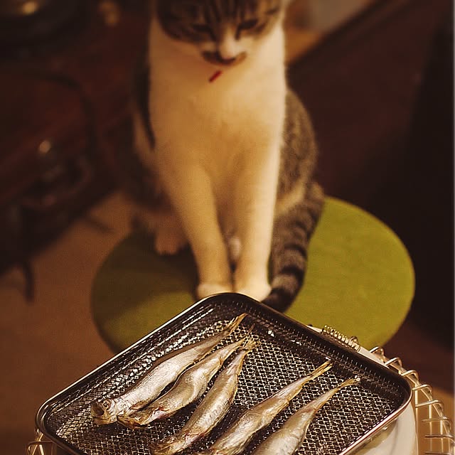 Kanakoさんの実例写真