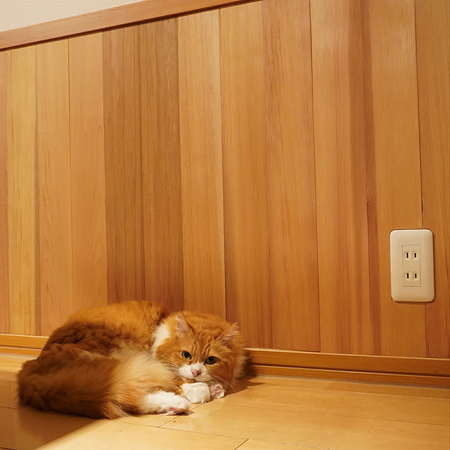 mieさんの実例写真