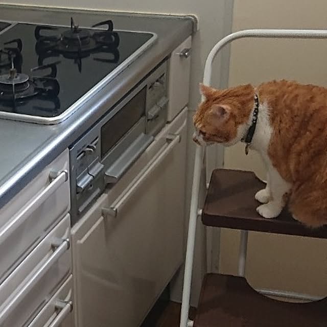 NOAHさんの部屋