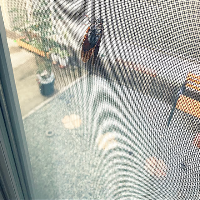 mhomemさんの実例写真