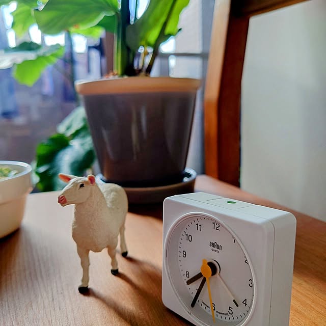 karinさんの実例写真