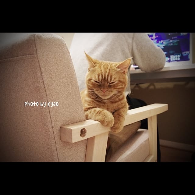 kyaoさんの実例写真