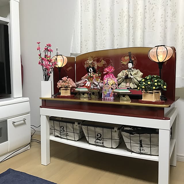 リビング/IKEA/3COINS/ダイソー/ニトリのインテリア実例 - 2017-03-03 08:18:22