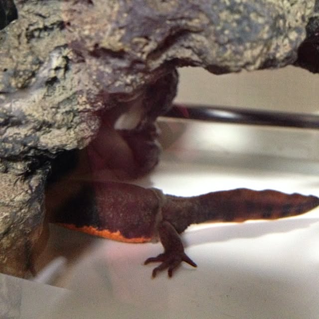 ALPSさんの実例写真