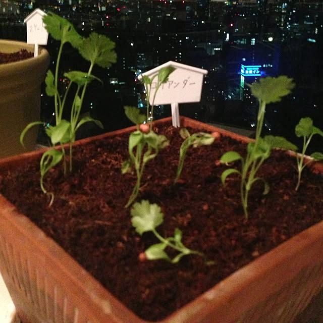 Etsukoさんの実例写真
