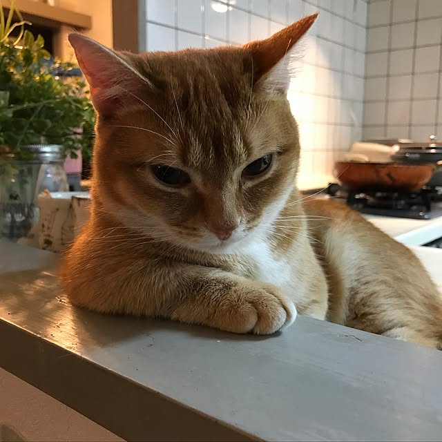 amo69xxさんの実例写真
