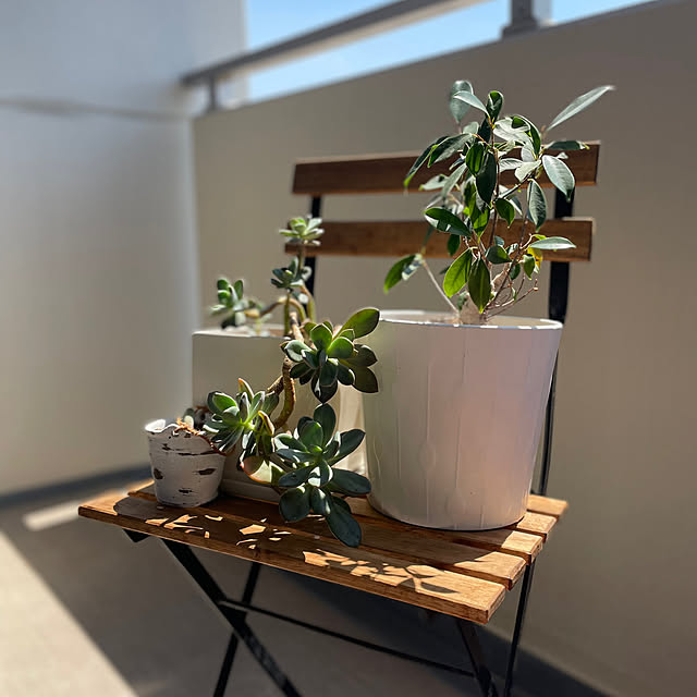 manchanさんの部屋