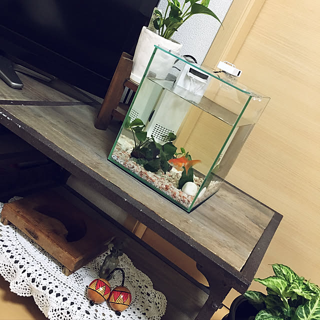 tokimaさんの実例写真
