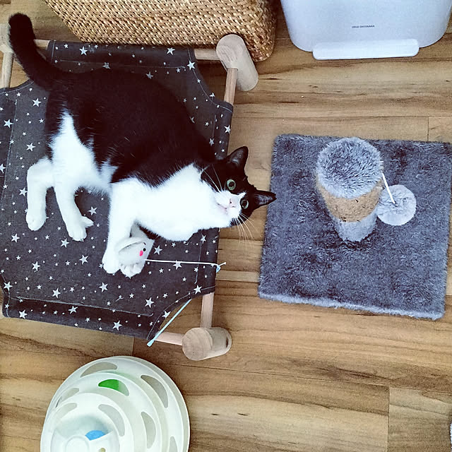hihaさんの実例写真