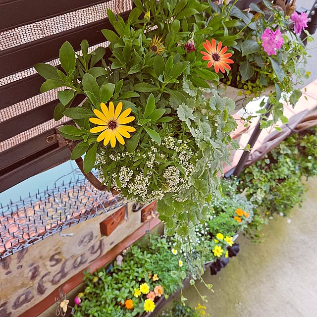 mocomocoさんの部屋