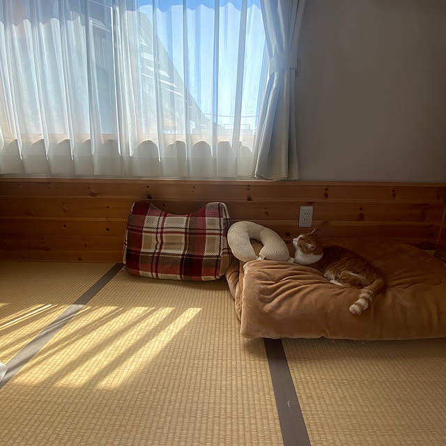 senbei.sakuramochiさんの実例写真