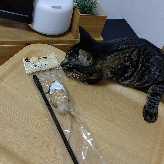 hihaさんの実例写真