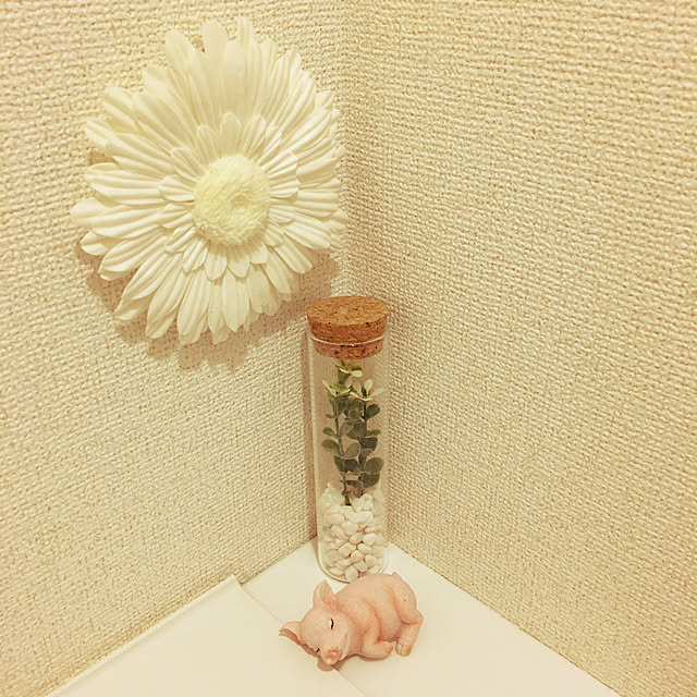 chilchilさんの実例写真