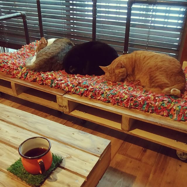 sumisumiさんの実例写真