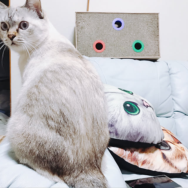 nachuさんの実例写真