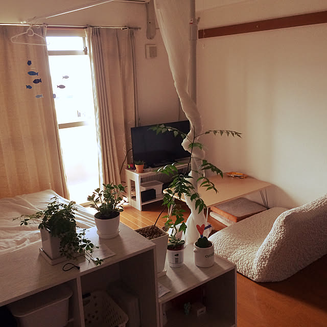 dedenshaさんの実例写真