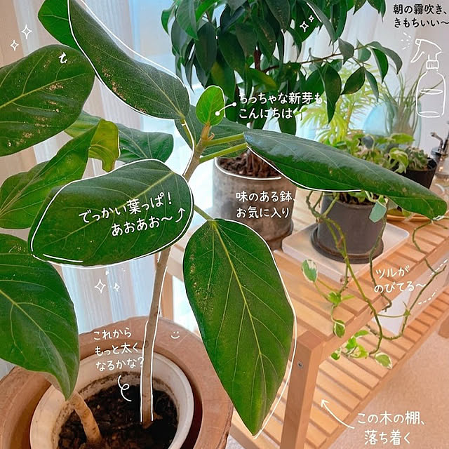 hirococoさんの実例写真