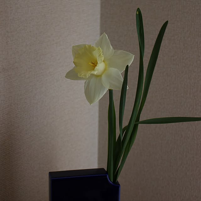 spn871さんの実例写真