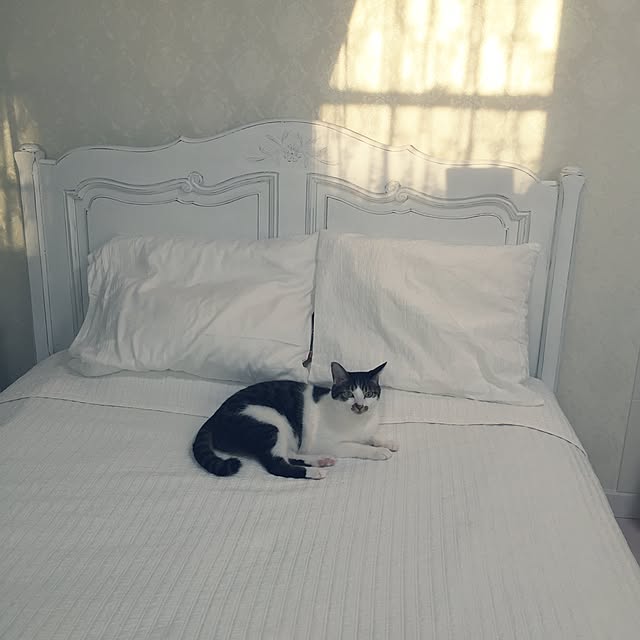 yuchiさんの実例写真