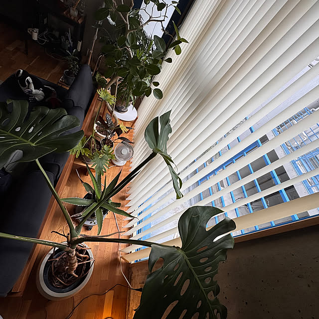 Youkiさんの部屋