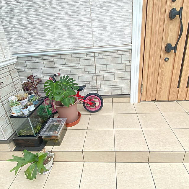 ayaさんの実例写真