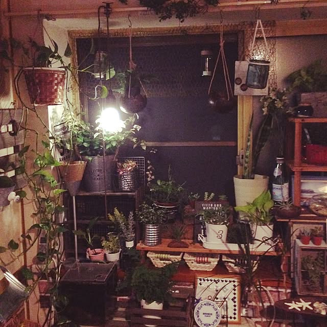 akoさんの実例写真