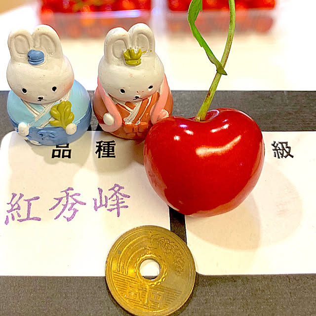 syutmmさんの部屋