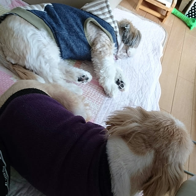 ronさんの実例写真