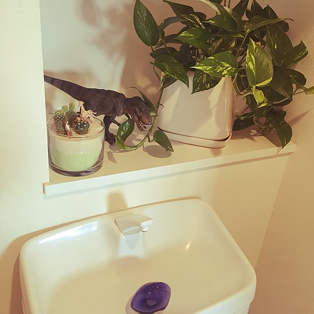 CHIIさんの実例写真