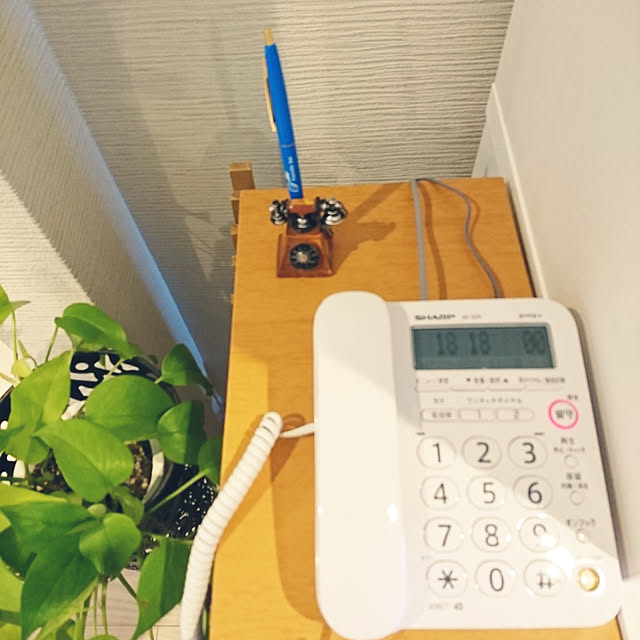 sakamo0829さんの実例写真