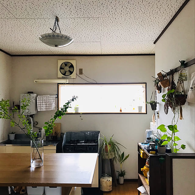 apiさんの実例写真
