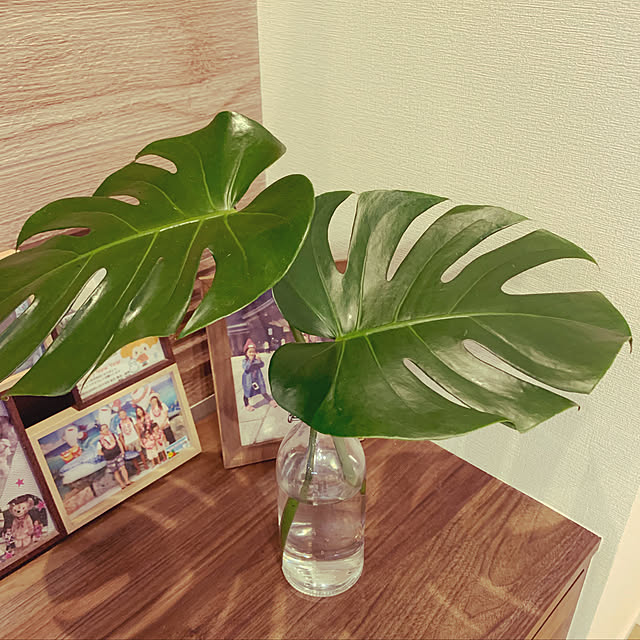 実例写真