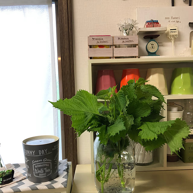akokiさんの実例写真