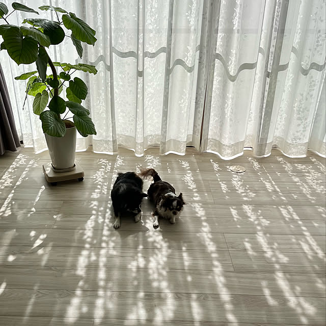 Hannahさんの実例写真
