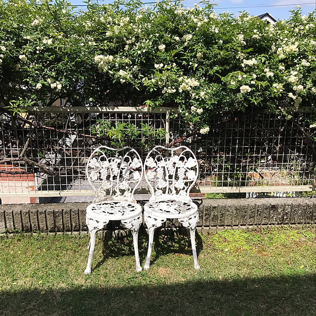 Lさんの実例写真