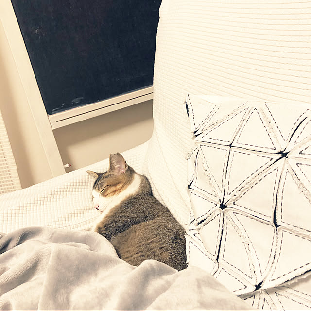 nekomiさんの実例写真