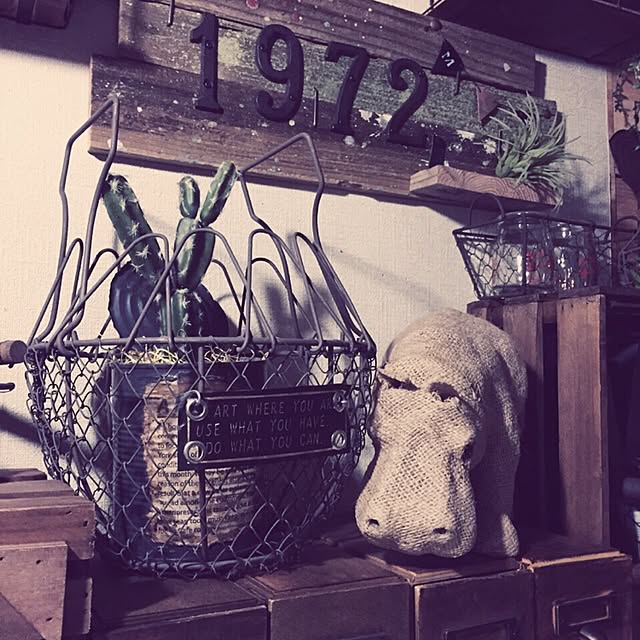 kiyomiさんの実例写真