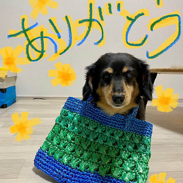 ohanaさんの実例写真