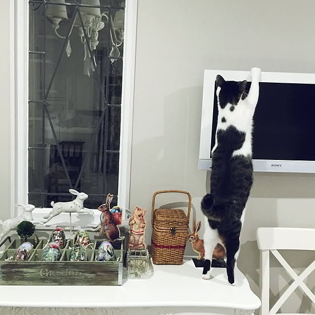 yuchiさんの実例写真