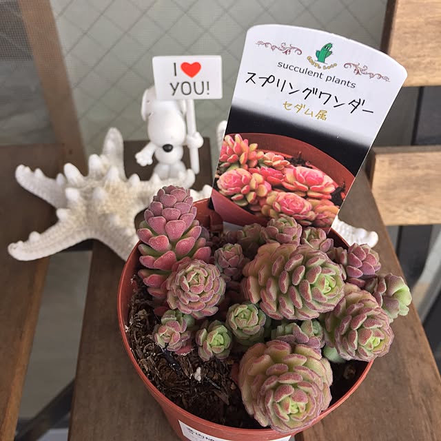 komiku1002さんの実例写真