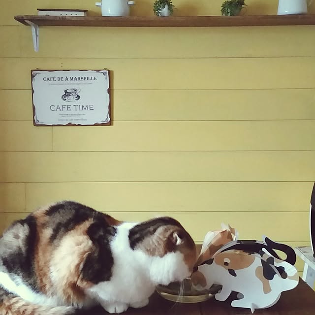 mikiさんの実例写真