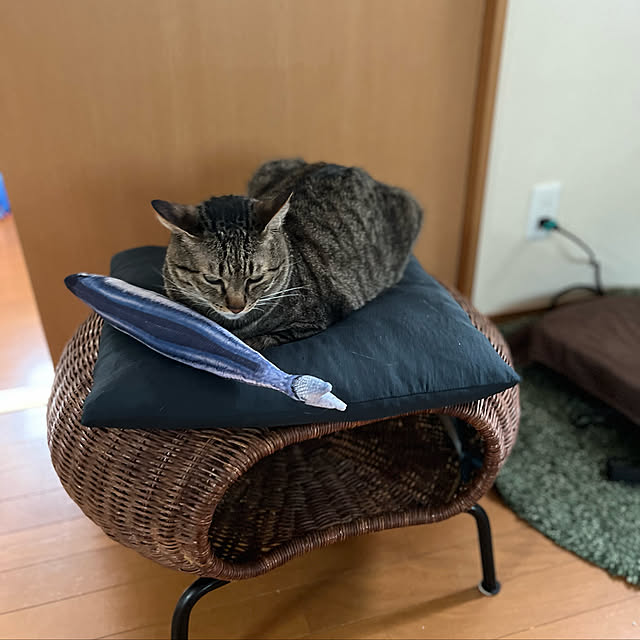 mikan161さんの実例写真